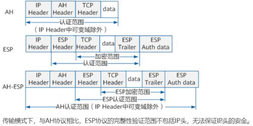 計算機網絡系統 數字時代的基石